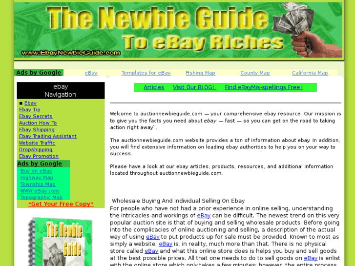 www.auctionnewbieguide.com