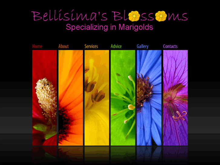 www.bellisimasblossoms.com