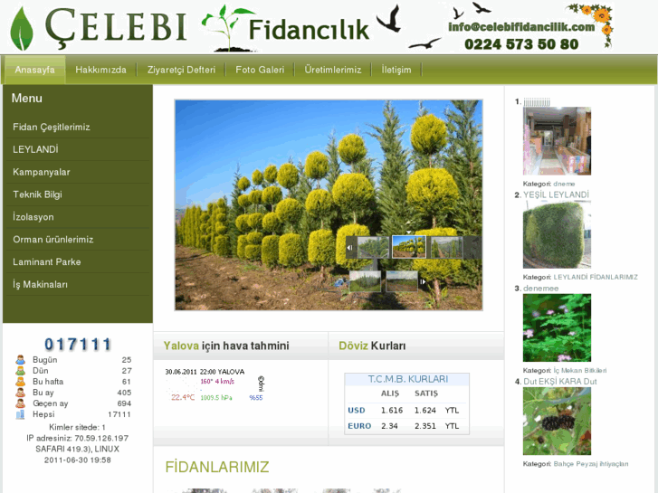 www.celebifidancilik.com