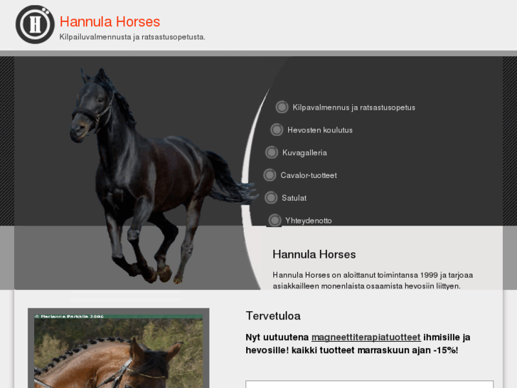 www.hannulahorses.com