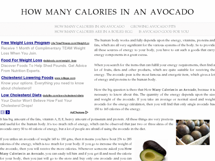 www.howmanycaloriesinanavocado.com