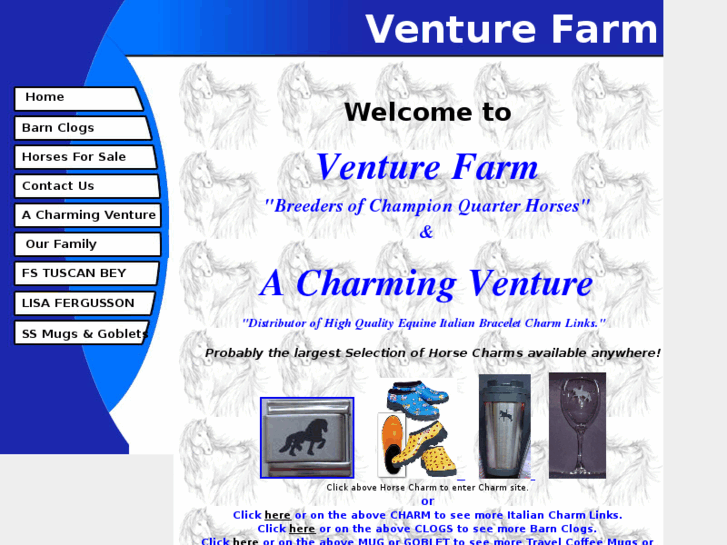 www.acharmingventure.com