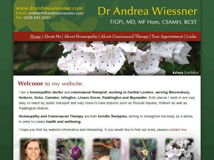 www.drandreawiessner.com