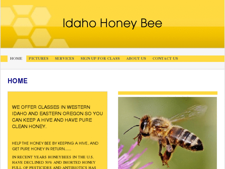 www.idahohoneybee.com