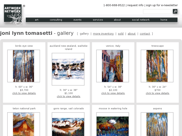 www.jonitomasettiart.com