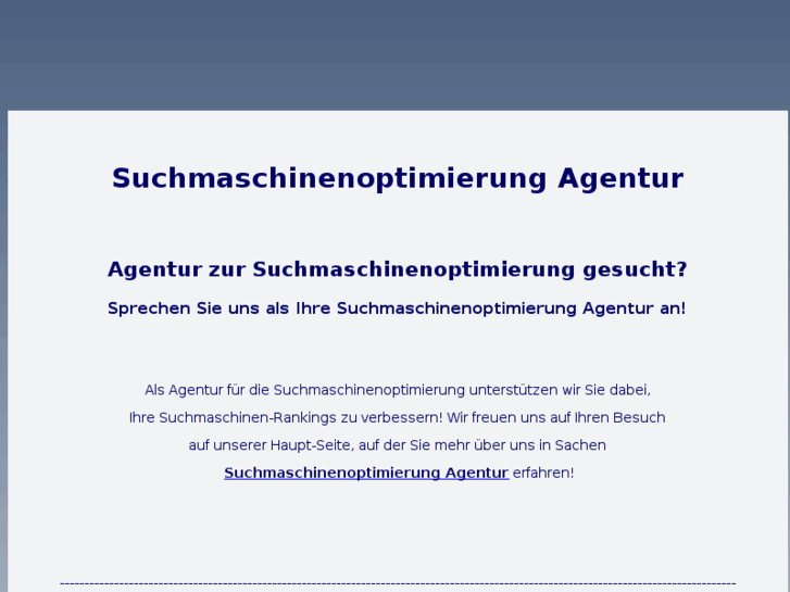 www.suchmaschinenoptimierung-agentur.biz