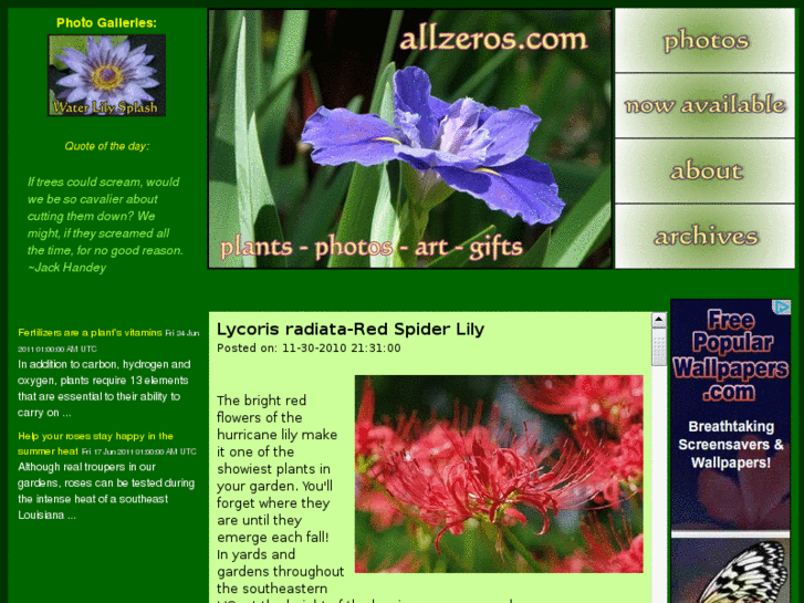 www.allzeros.com