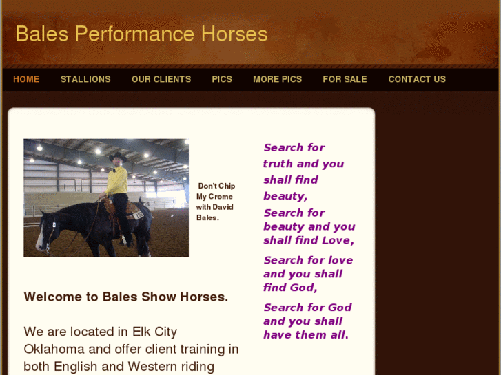 www.balesperformancehorses.com