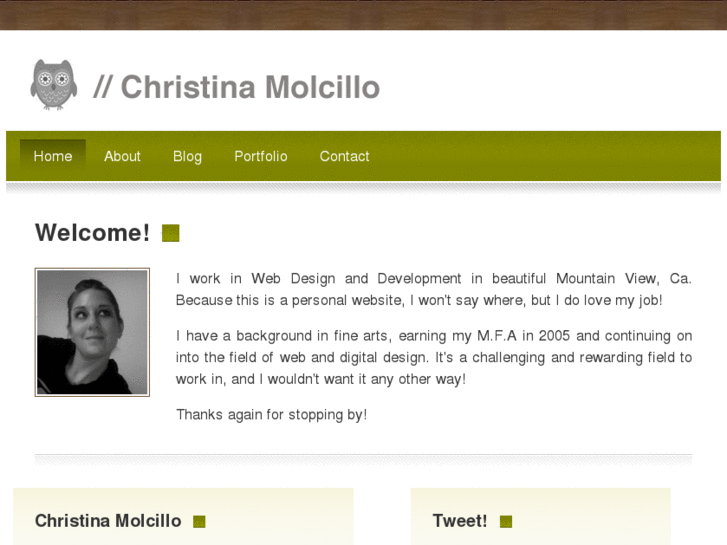 www.christinamolcillo.org