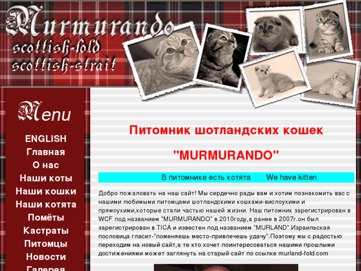 www.murmurando.net