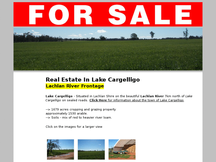 www.realestate-lakecargelligo.com