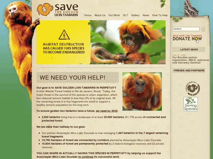 www.savetheliontamarin.org