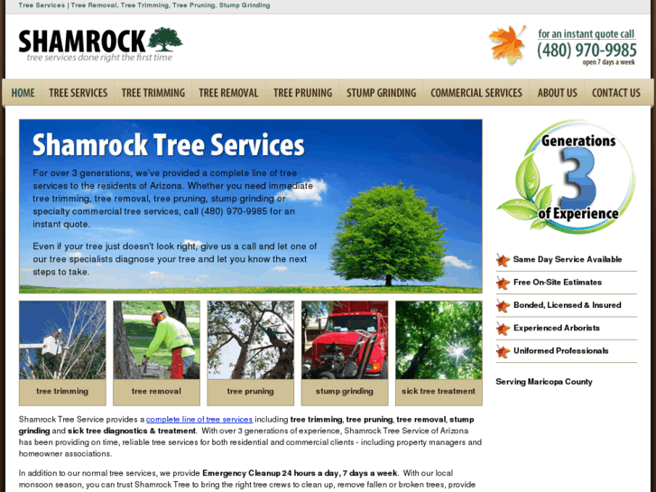 www.shamrocktree.com