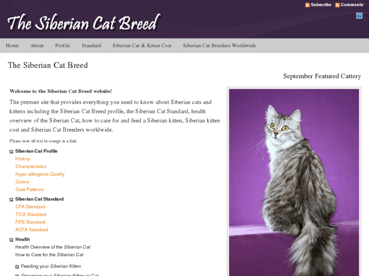 www.siberian-cat-breed.com