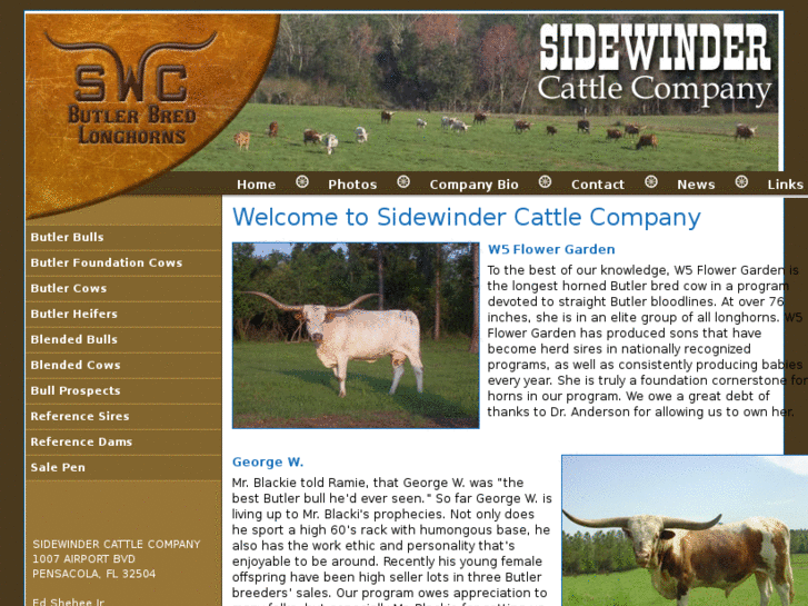 www.sidewindercattleco.com