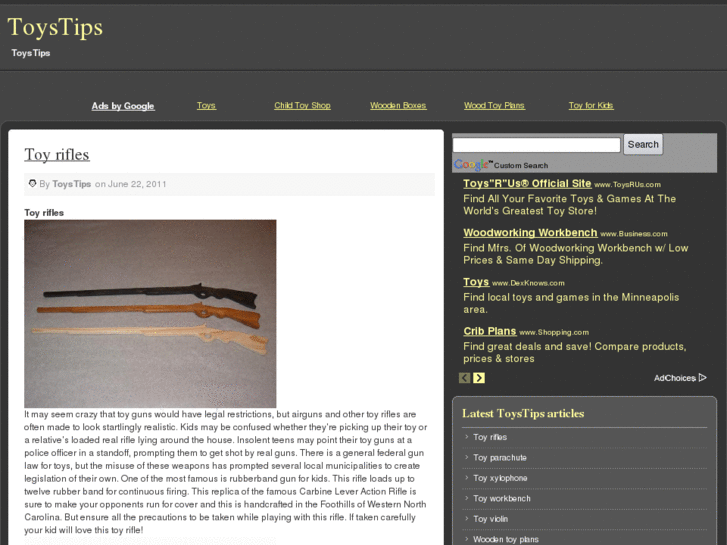 www.toystips.info