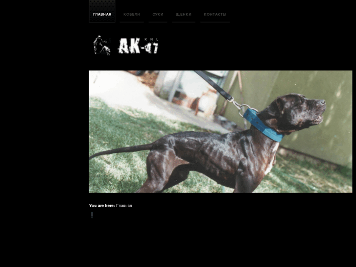 www.ak-47knl.com