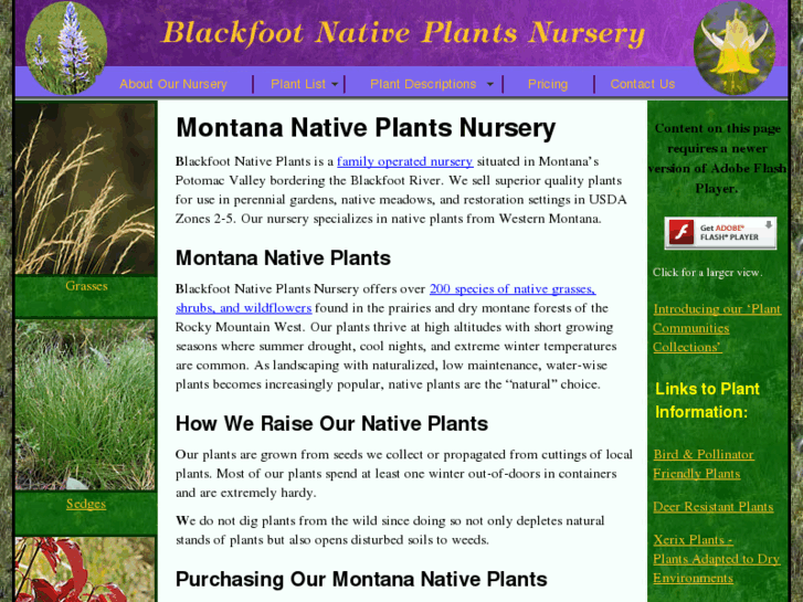 www.blackfootnativeplants.com