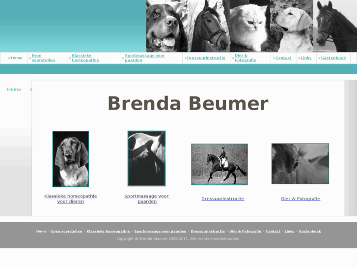 www.brendabeumer.nl