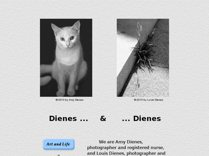 www.dienes-and-dienes.com