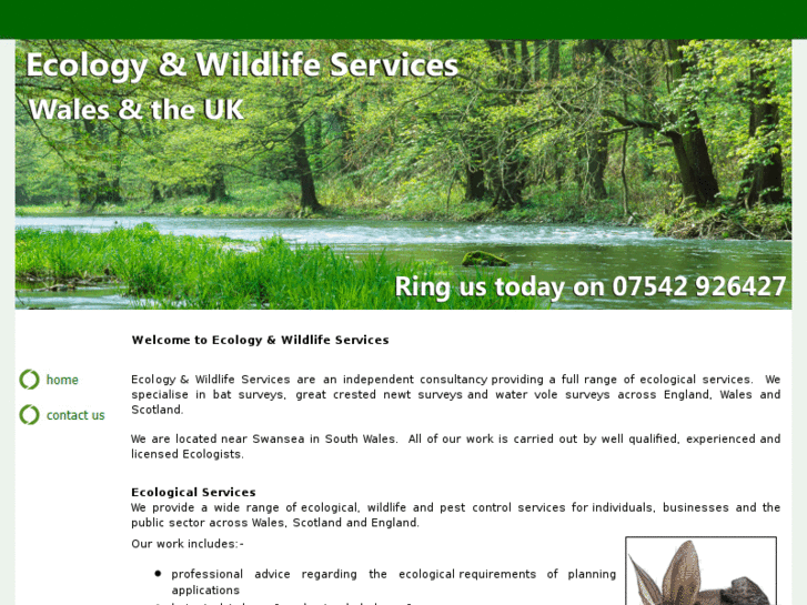 www.ecologyandwildlifeservices.com