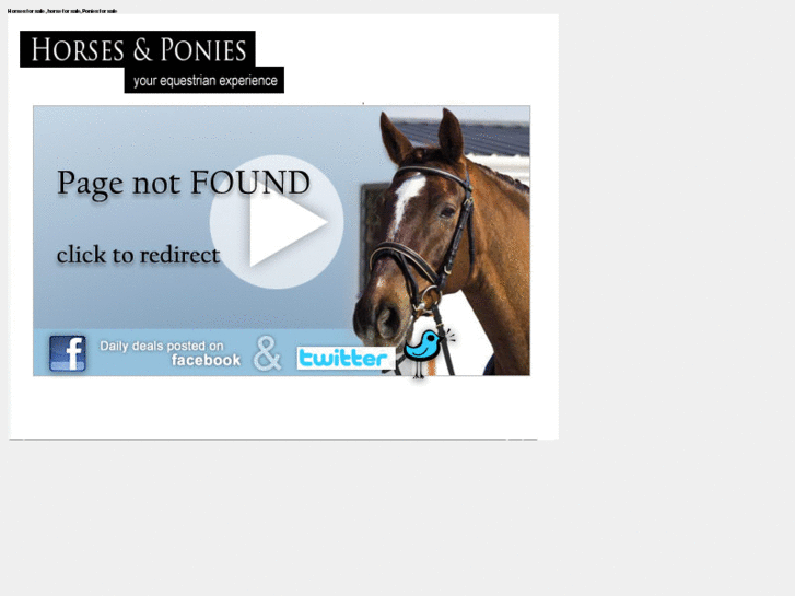 www.horses-ponies.co.uk