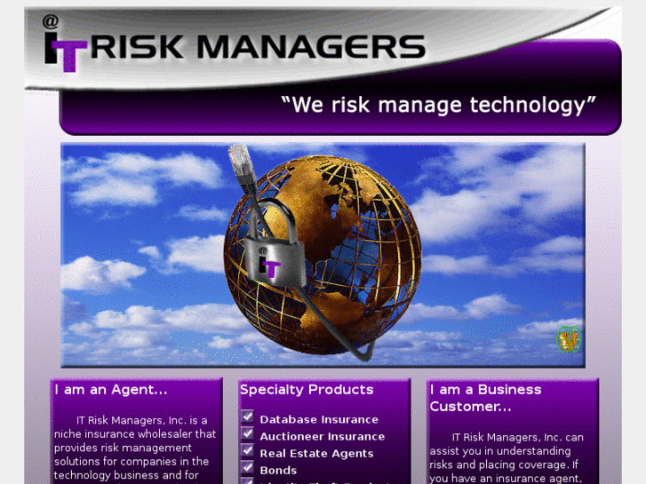 www.itriskmanagers.net