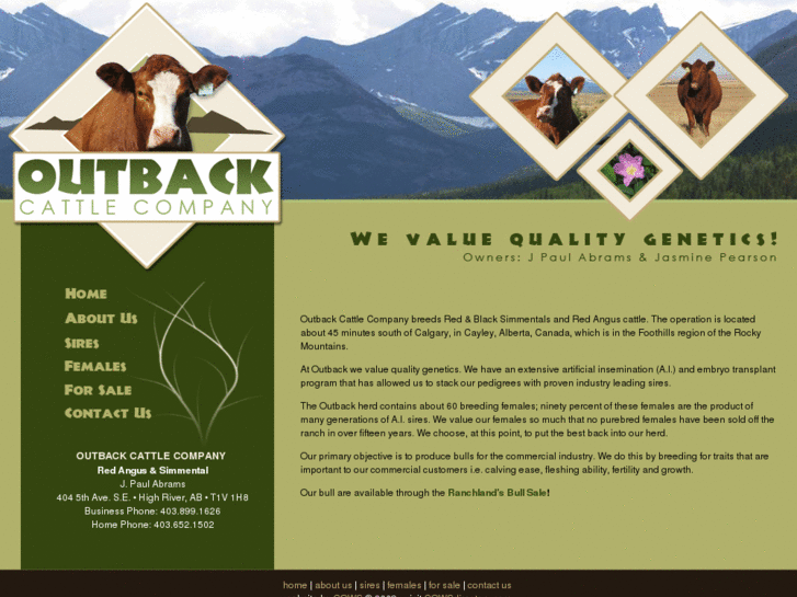 www.outbackcattle.com