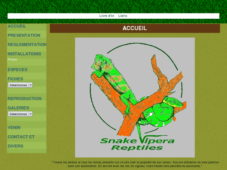 www.snakevipera-reptiles.com