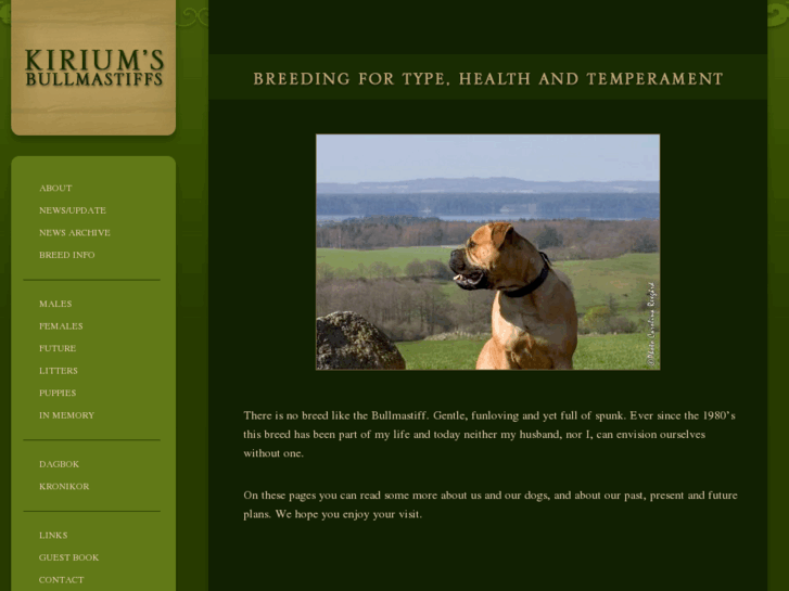 www.bullmastiffs.net