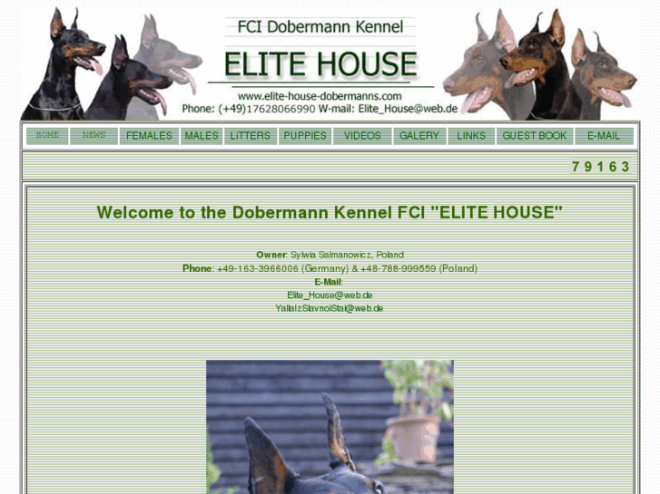 www.elite-house-dobermanns.com