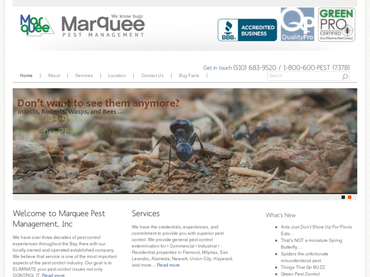 www.marqueepestmanagement.com