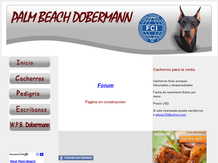 www.palmbeachdobermann.com