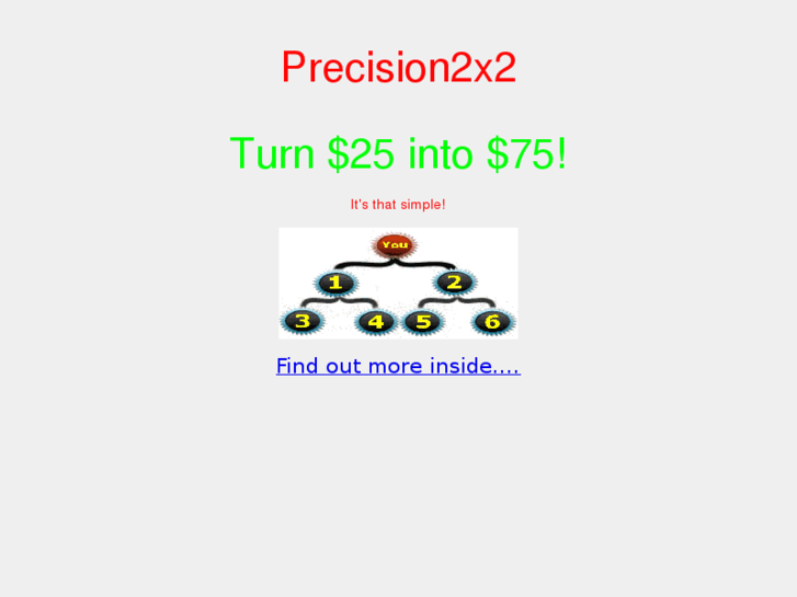 www.precision2x2.com