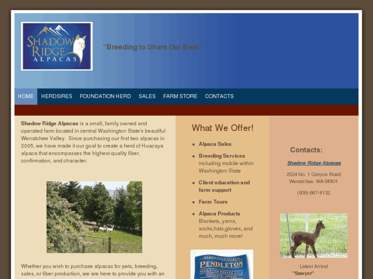 www.shadowridgealpacas.com