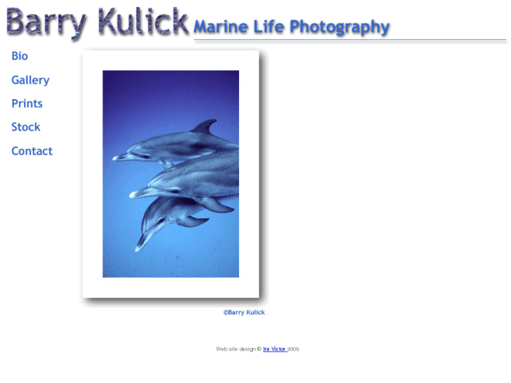 www.barrykulick.com