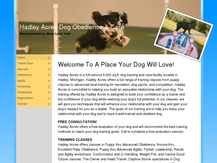 www.hadleydogtraining.com