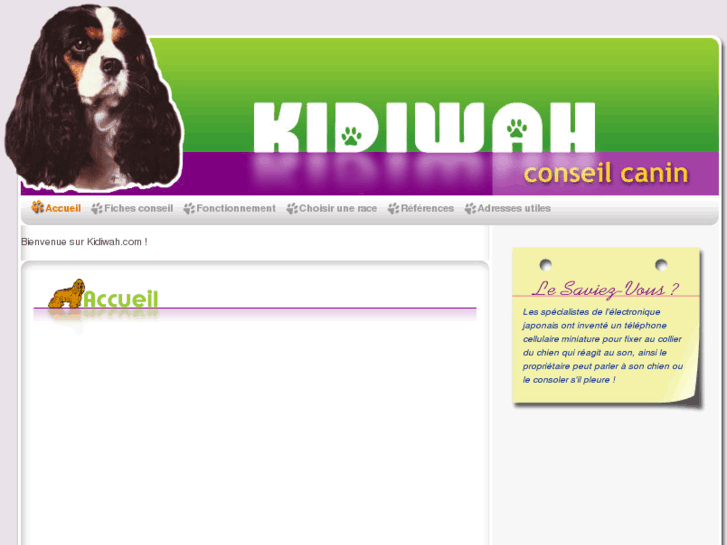 www.kidiwah.com