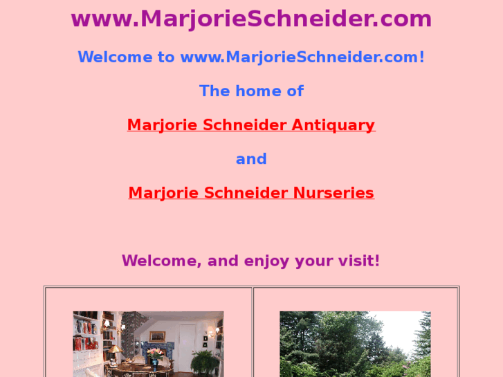 www.marjorieschneider.com