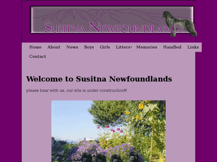 www.susitnanewfoundlands.com