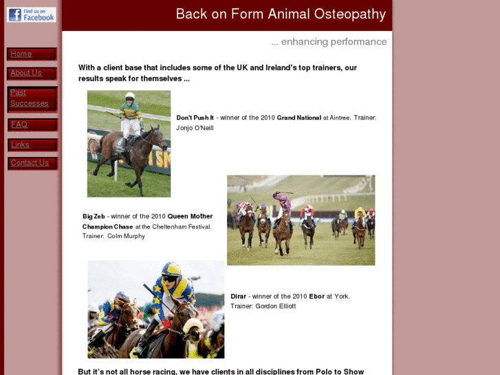 www.backonform.net