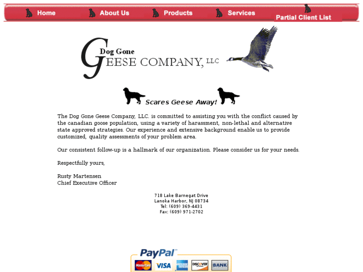 www.doggonegeese.com