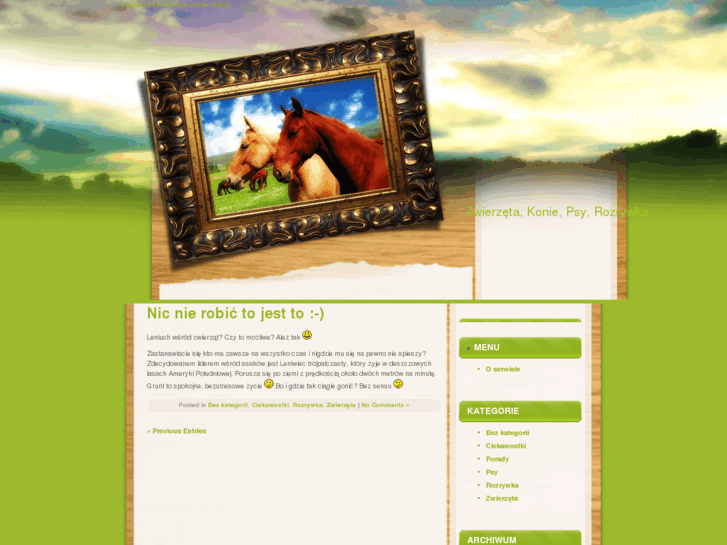www.horsestunt.com.pl