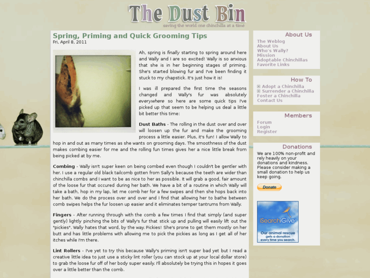 www.thedustbin.com