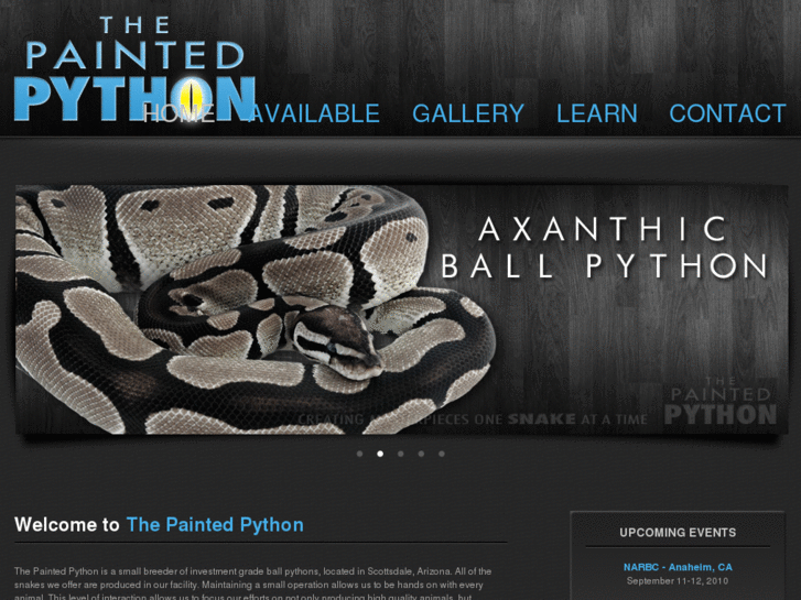 www.thepaintedpython.com