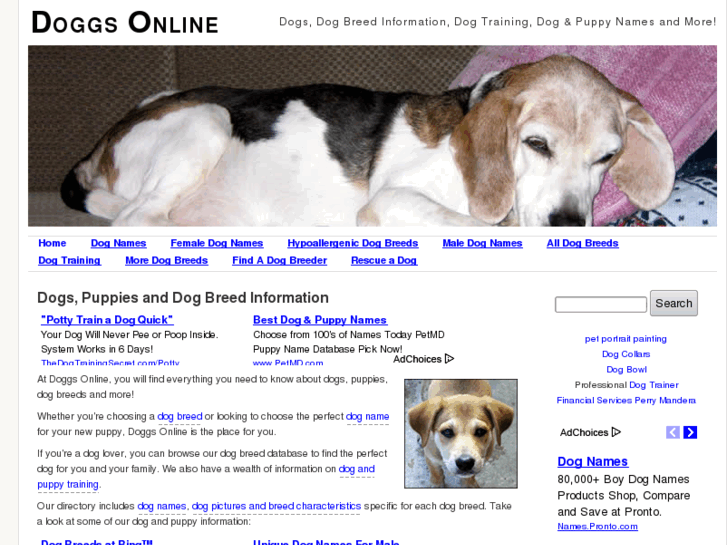 www.doggsonline.com