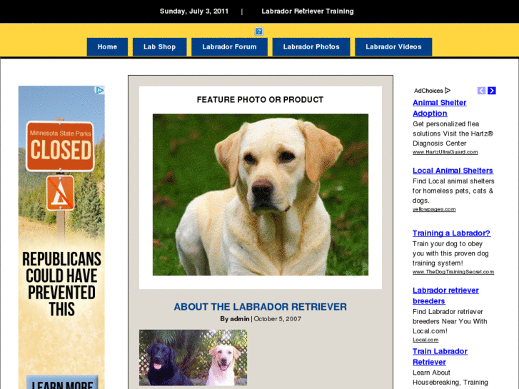 www.labradorretrieverforum.com