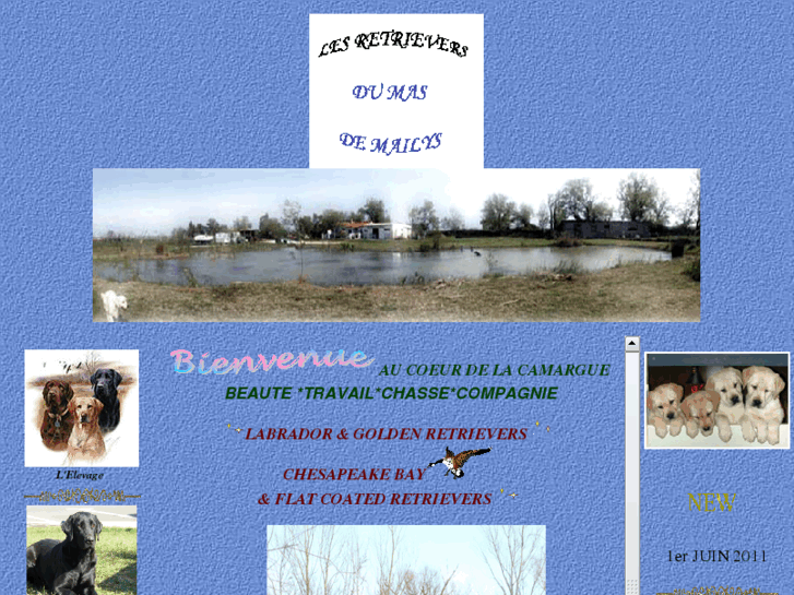 www.labradorsretrievers-provence.com