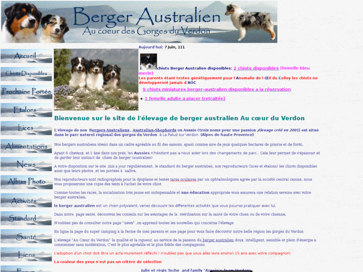 www.australian-shepherds.fr