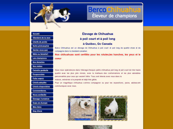 www.bercochihuahua.com